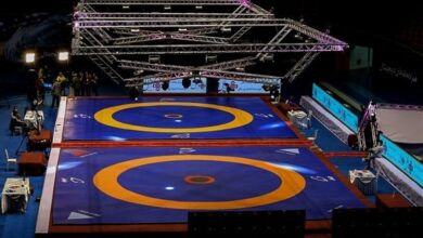 لیگ دسته یک کشتی فرنگی کشور|هوافضا قهرمان شد