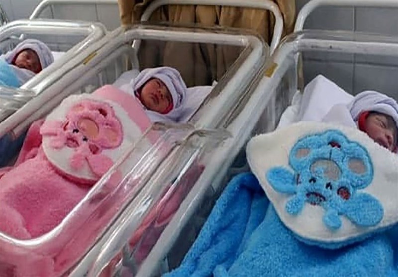 مادر سنندجی 3 قلو به دنیا آورد