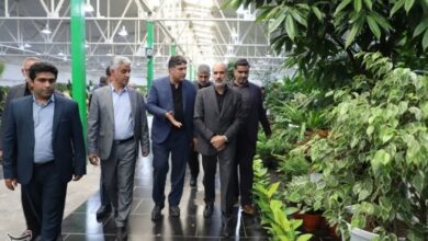 مازندران به راهاندازی نمایشگاه دائمی گل و گیاه نیاز دارد