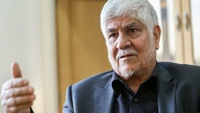 محمد هاشمی: پزشکیان شفاف بود/ جلیلی قشر خاکستری را نگران میکند