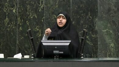 محمدبیگی: ساختار بینالمللی مجلس نیازمند بازنگری است