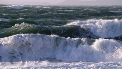 مسابقات آبهای آزاد کشور در نوشهر برگزیدگان خود را شناخت