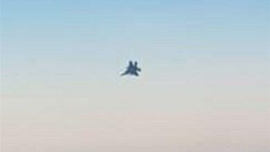 موشکهای حزب الله پرندههای اسرائیل را فراری داد