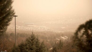 نفسها در قم بند آمد/ نسخههای تکراری برای گرد و غبار