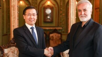 همافزایی فرهنگی و اقتصادی شیراز و نانجینگ خلق چین