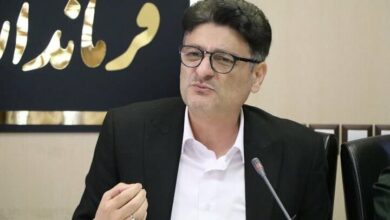 واردات بی رویه برنج به تولید داخلی آسیب میزند