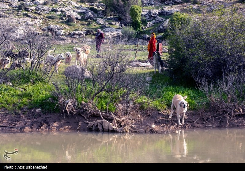 ورود بیضابطه گردشگران در مناطق عشایری ممنوع