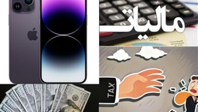 وصول 4000 میلیارد تومان مالیات در استان بوشهر