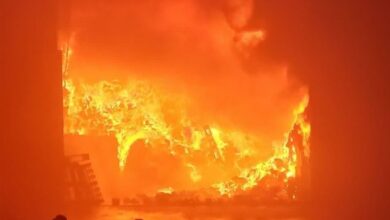 وقوع آتشسوزیهای مکرر در میکرو تالاب الهایی