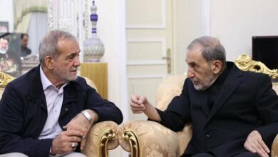 ولایتی با رئیس جمهوری منتخب دیدار کرد