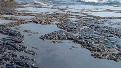 پاکسازی رودخانه قرهسو کرمانشاه برای مقابله با پشه آئدس