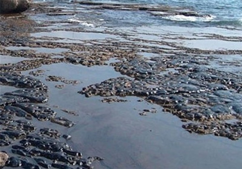 پاکسازی رودخانه قرهسو کرمانشاه برای مقابله با پشه آئدس