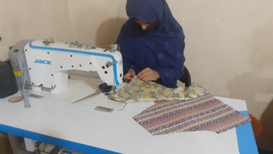 پرداخت 14 میلیارد تومان تسهیلات به مددجویان دیلمی