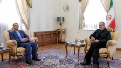 پزشکیان دردیدار طیبنیا بربهبود شرایط اقتصادی مردم تاکید کرد