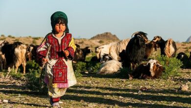 122 میلیارد جهت توسعه فعالیتهای عشایری سیستان وبلوچستان