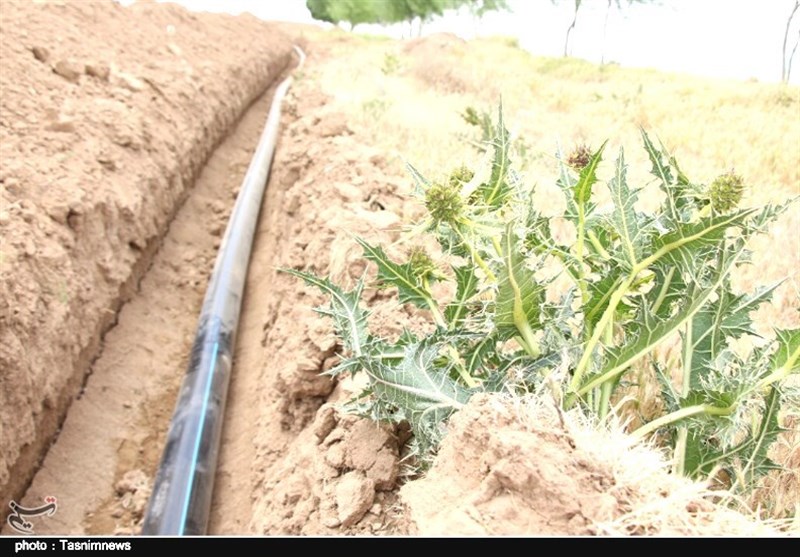 2 ایستگاه آبرسانی پلدختر هفته دولت به بهرهبرداری میرسد