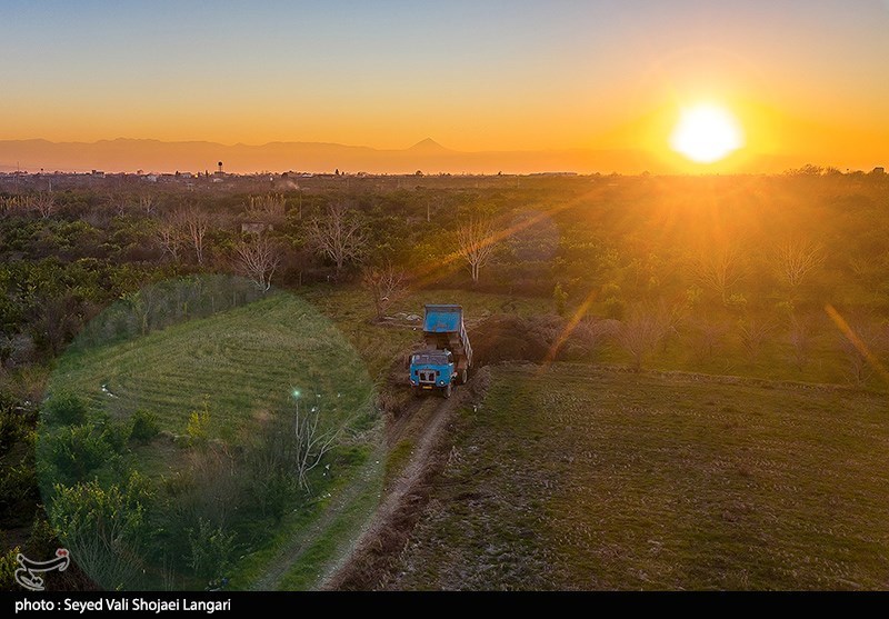 55 درصد اراضی کشاورزی آذربایجان شرقی دارای سند مالکیت است