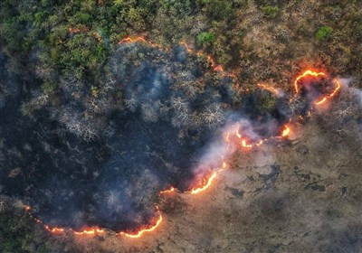 آتشسوزی در جنگلهای مریوان/ غافلگیری مسئولان بعد از 5 روز
