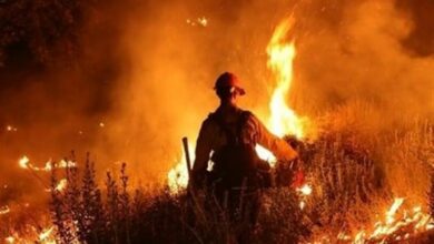 آتشسوزی در منطقه حفاظت شده شادابکوه پلدختر مهار شد