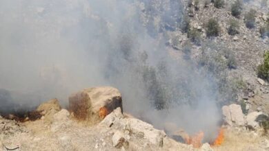 آتشسوزی دوباره در جنگلهای 4 منطقه کهگیلویه و بویراحمد