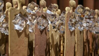 آییننامه تندیس ملی فداکاری دانشجویان ایران بازنگری شد