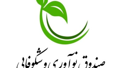 ارائه 60 هزار میلیارد تومان خدمات به دانشبنیانها