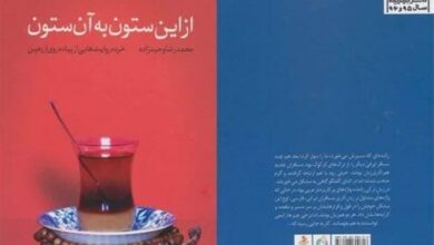 "از این ستون به آن ستون"؛ روایتگر تجربههای سفر اربعینی