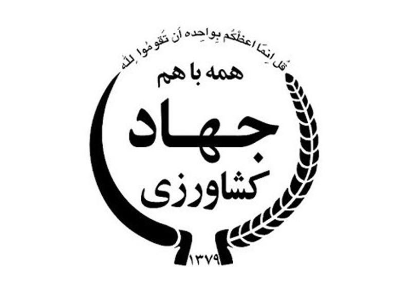 اصلاح الگوی کشت در برنامه هفتم به برنامه تولیدبهینه تغییرکرد