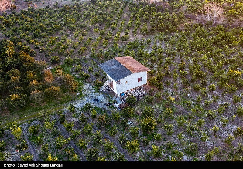 اعلام جرم علیه 4 نفر از کارکنان امور اراضی گلستان