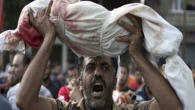 افزایش شمار شهدا وزخمیهای جنایت صهیونیستها در مدرسه«صلاح الدین»