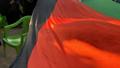 اقیانوس همدلی زائران با مردم غزه در پیادهروی اربعین