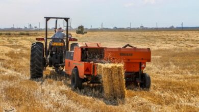 انتقال 342 هزار تن گندم مازاد کردستان به استانهای دیگر