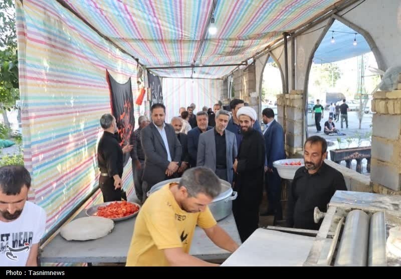 بازدید سرزده استاندار همدان از مواکب اربعین+تصویر