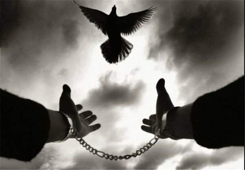 بخشش محکوم به قصاص در روز اجرای حکم در قزوین