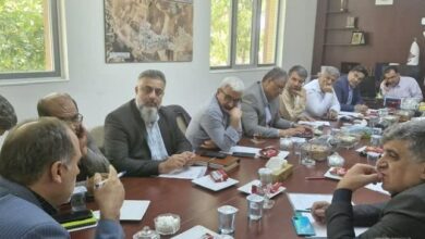 بررسی سوخت ژنراتورهای تولید برق اضطراری در شهرک صنعتی شیراز