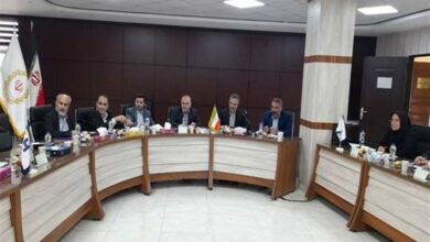 بنگاهداری بانکها از عوامل ناترازی بانکها است