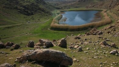 تالابهای لرستان اسناد مالکیت ندارند