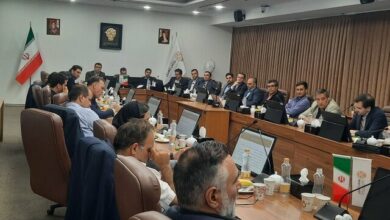 تدبیرهای کوتاهمدت در دستور کار سازمان بورس/ صندوق توسعه بازار سرمایه با اوراق تبعی تقویت میشود