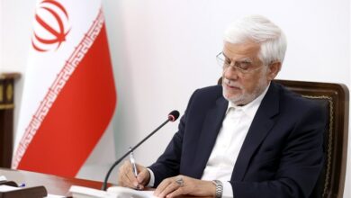 تسلیت عارف در پی درگذشت همسر آیتالله شبیری زنجانی