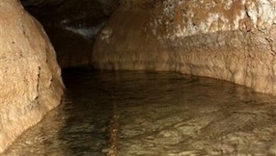 تهدید سفرههای آب زیرزمینی با کشت دوم برنج