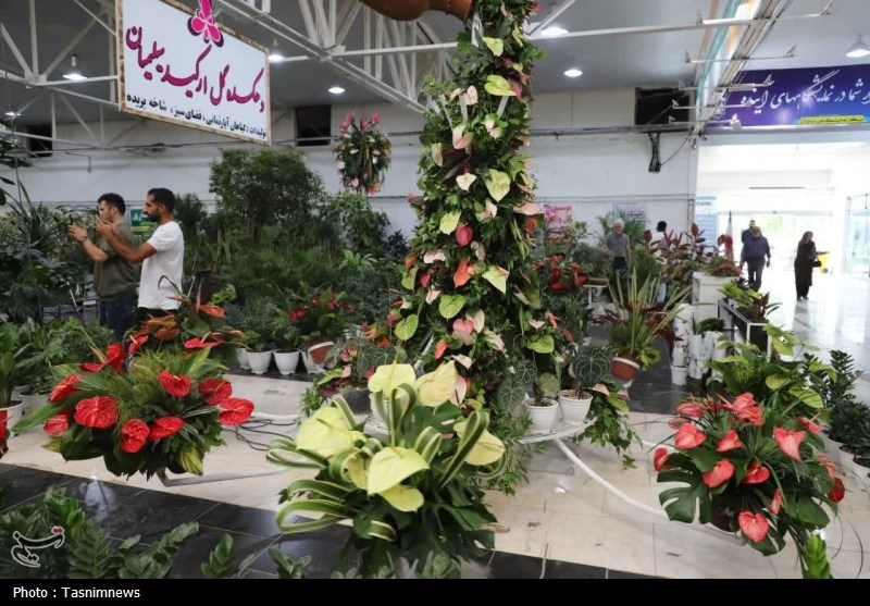 _تولید_ _40_ _میلیون_ _گل_ _و_ _گیاه_ _در_ _محمودآباد_