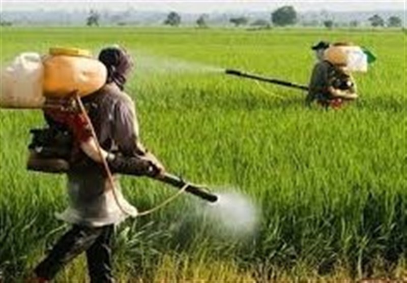 تولیدات کودهای فاقد مواد شیمیایی در اردبیل + فیلم