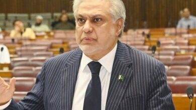 حضور معاون نخستوزیر پاکستان در نشست ویژه سازمان همکاری اسلامی
