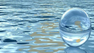 خودنمایی آب در لیست چالشهای وزارت نیرو