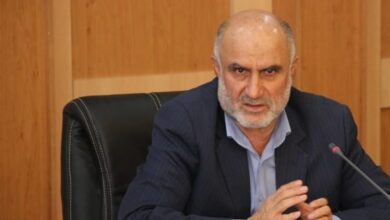 رشتههای دانشگاهی بوشهر براساس ظرفیتها توسعه یابد