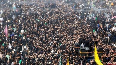 سفرنامه اربعین/ دلهایی که در کربلا به هم پیوند میخورند