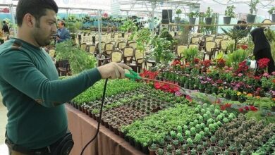 ضرورت استفاده حداکثری از ظرفیت فارغالتحصیلان بیکار کشاورزی