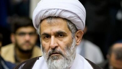 طائب:پزشکیان فقط میخواهد در چارچوب نظام حرکت کند