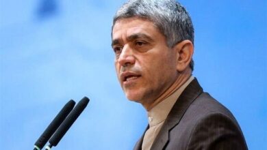 طیبنیا «مشاور عالی رئیسجمهور» شد