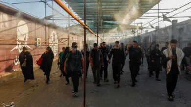 فراجا: زائران اربعین هیچگونه ایستایی در مرزها ندارند+فیلم